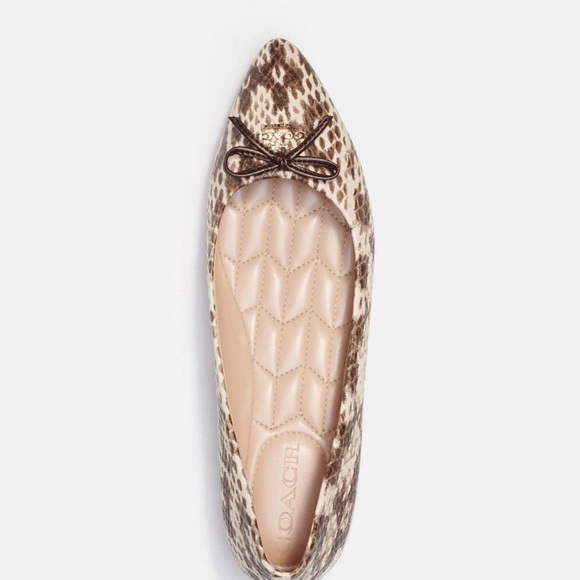 Coach Annabel Ballet size 6.5 B - Picture 1 of 4